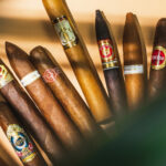 The most popular cigars in the world