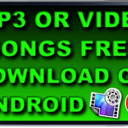 How can I download a video and audio from YouTube or other services like Instagram and TikTok?