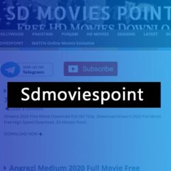 Sdmoviespoint 2021,2022 Best Bollywood, Hollywood Movies Download | Sdmoviespoint org