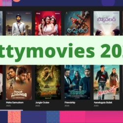 Kuttymovies 2022, 2023 Latest Full Movies Collection | Kuttymovies net